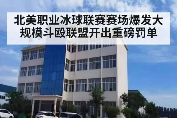 北美职业冰球联赛赛场爆发大规模斗殴联盟开出重磅罚单